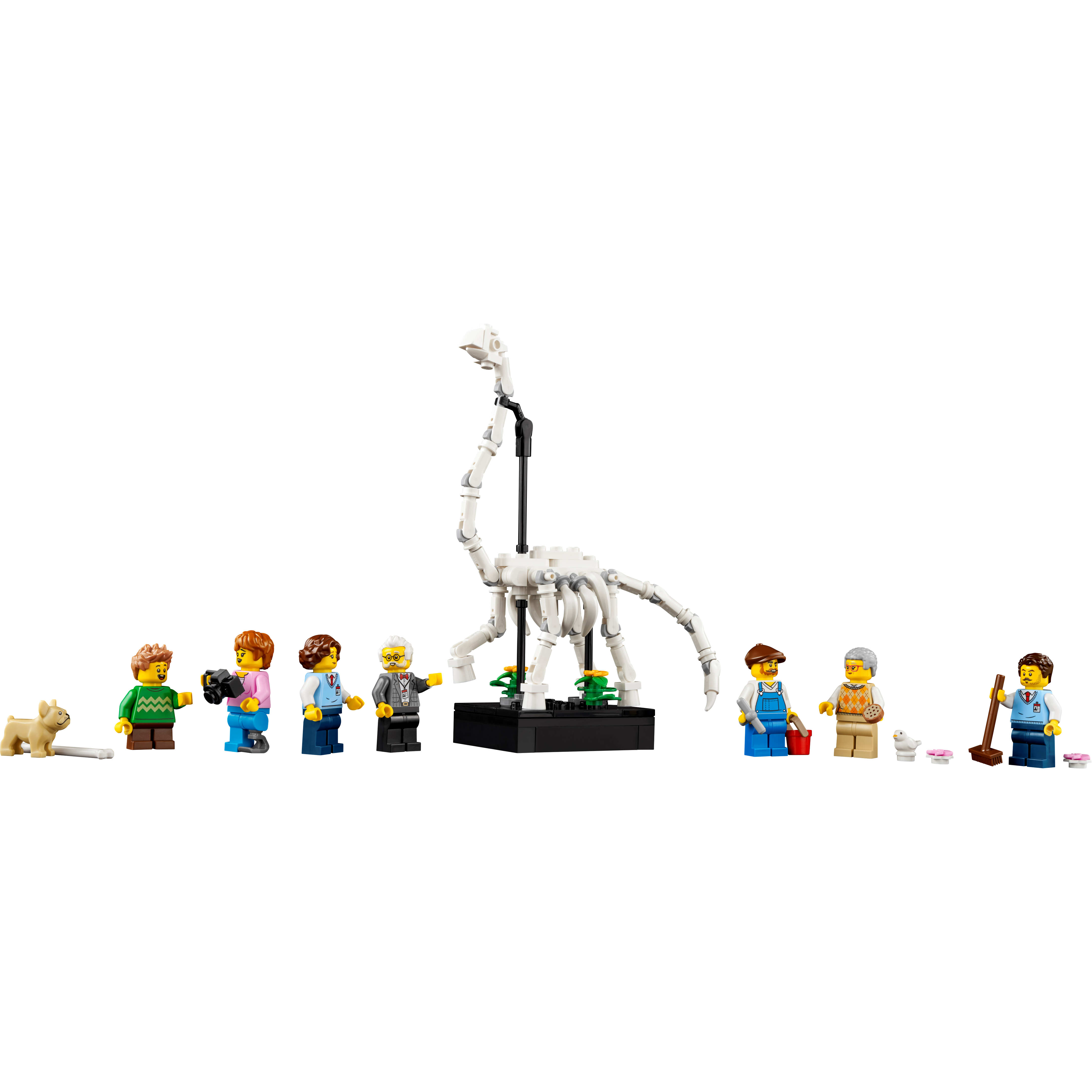 Natural History Museum - Image 10
