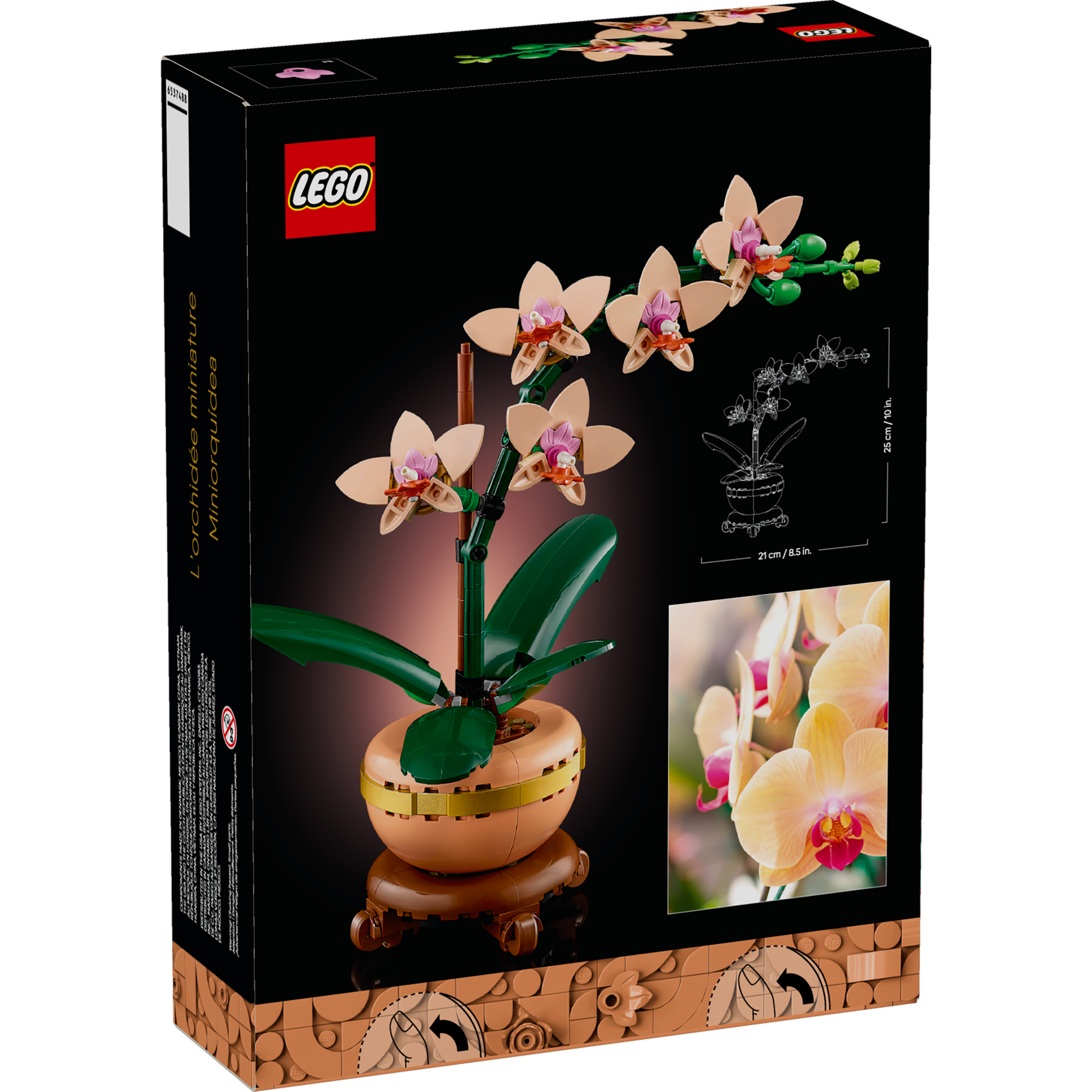 Mini Orchid - Image 9