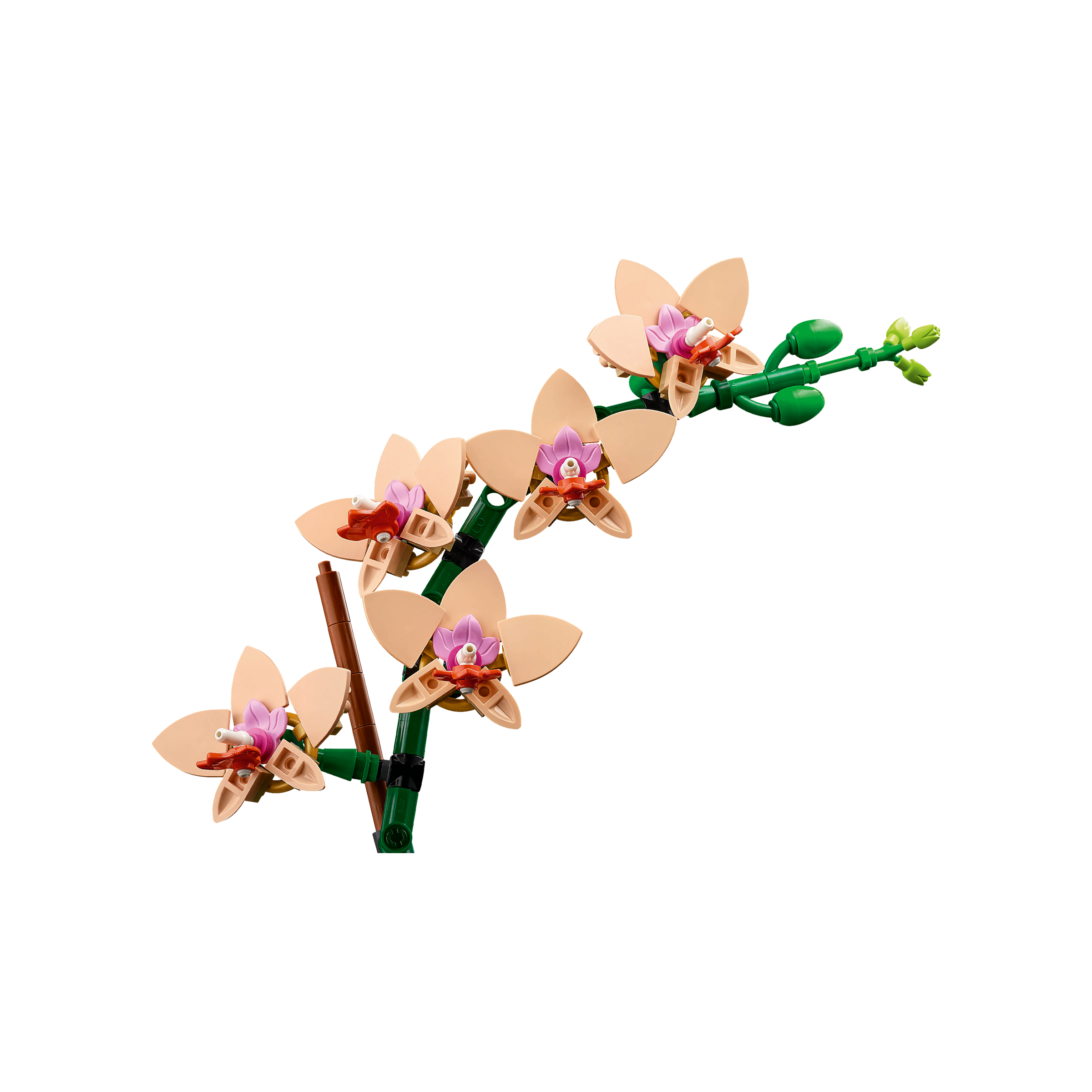 Mini Orchid - Image 6