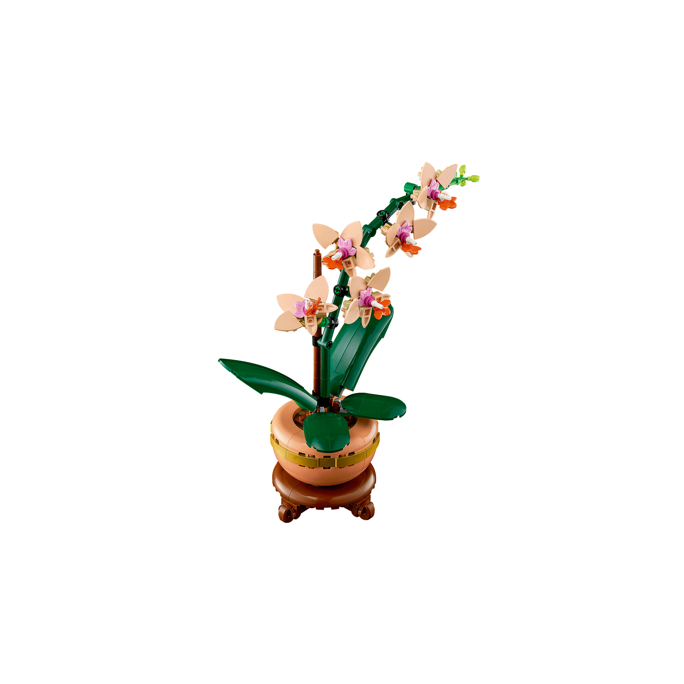 Mini Orchid - Image 5