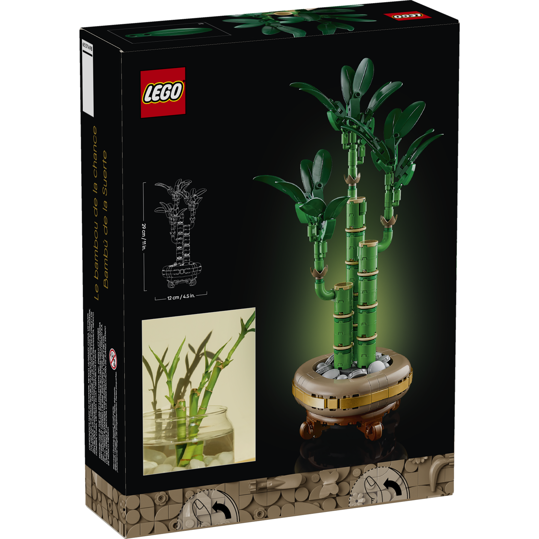 Lucky Bamboo - Image 9