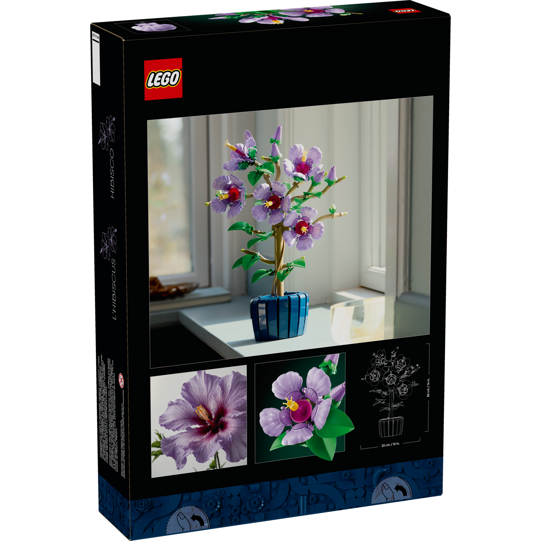 Hibiscus - Image 12