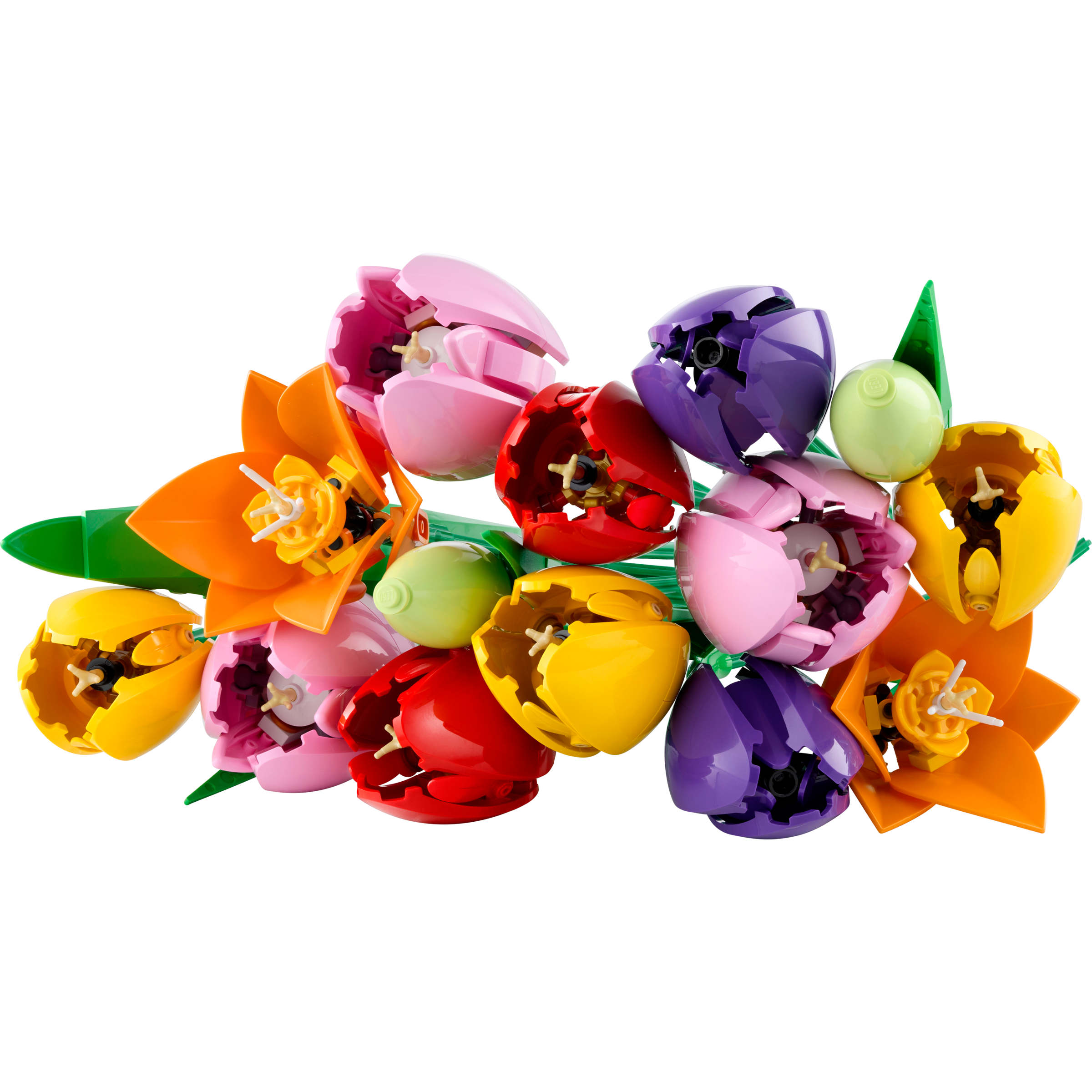 Tulip Bouquet