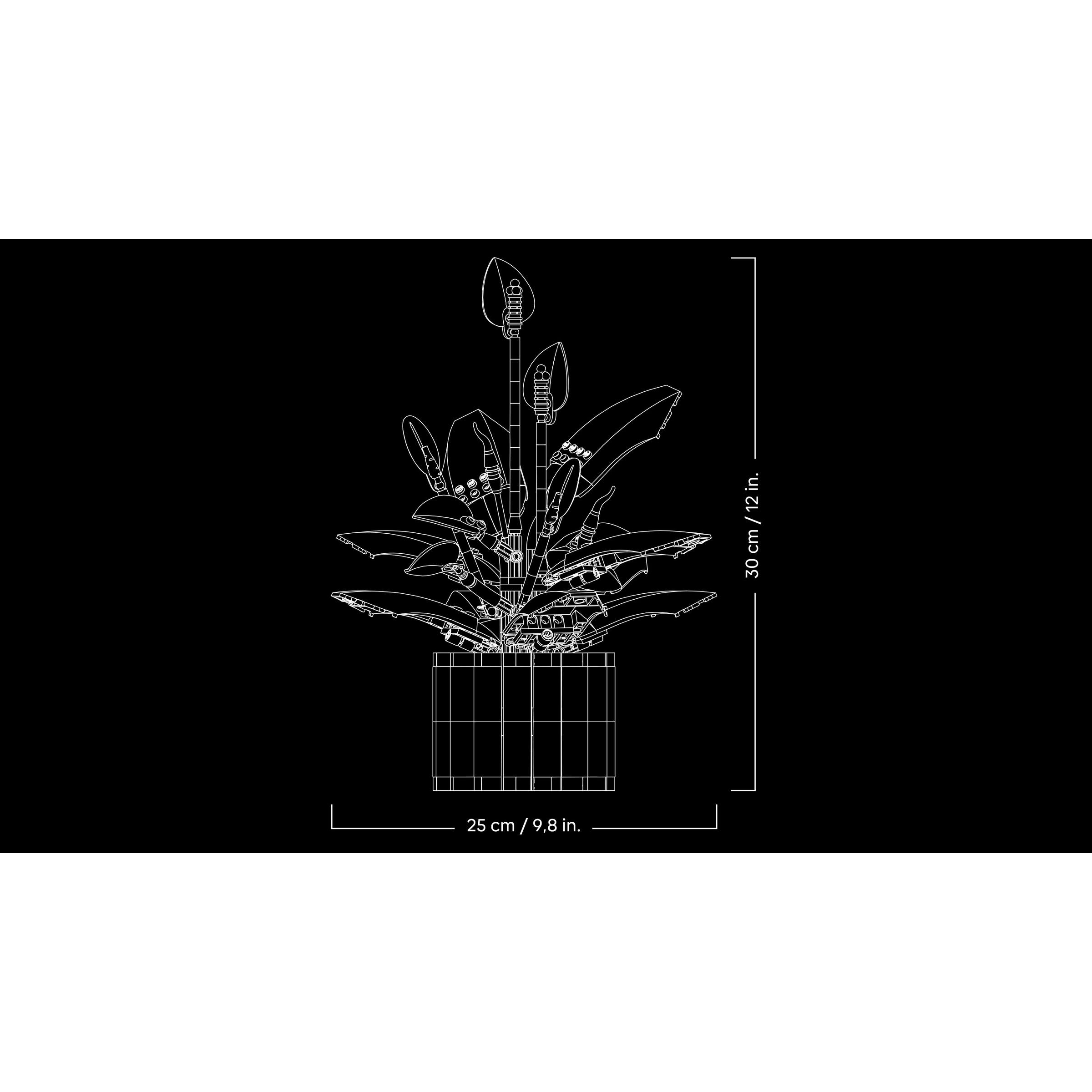 Peace Lily - Image 8