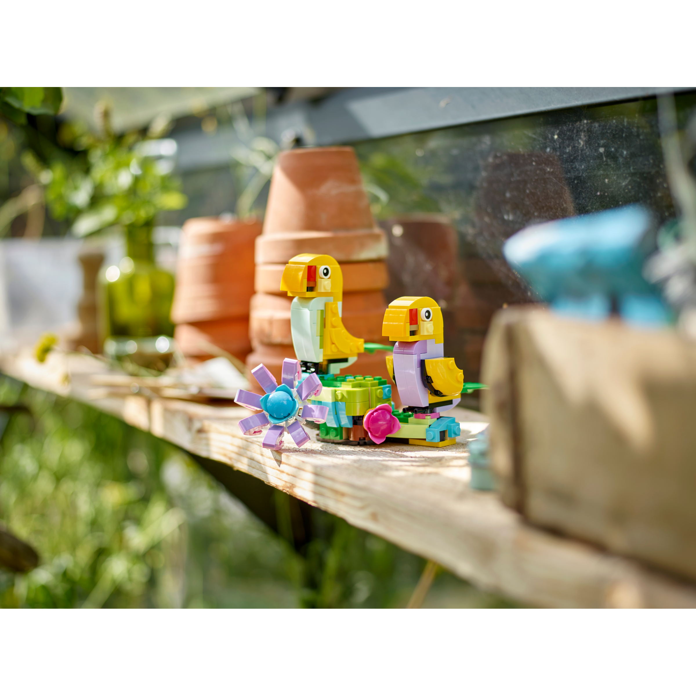Flowers In Watering Can - Image 10