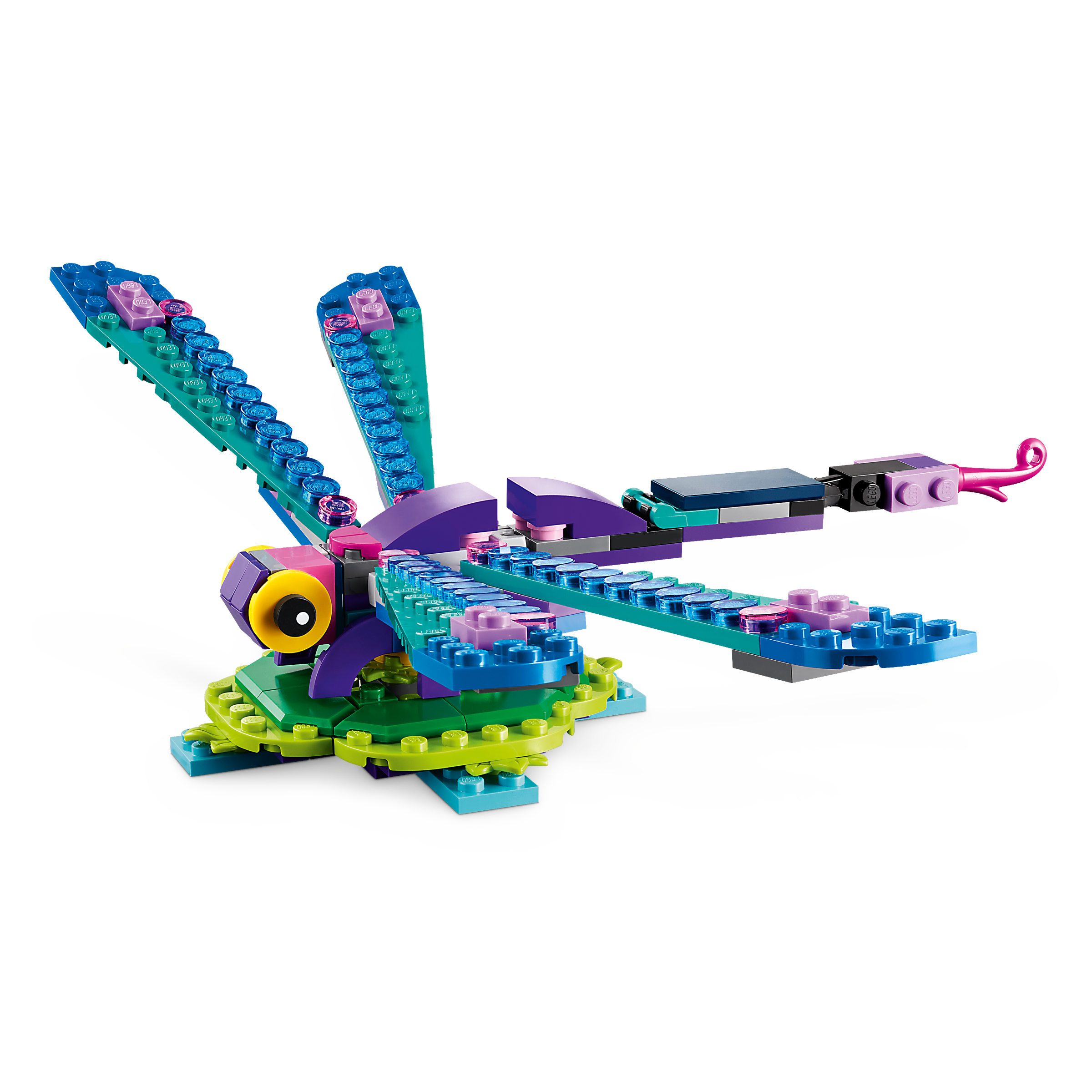 Exotic Peacock - Image 5