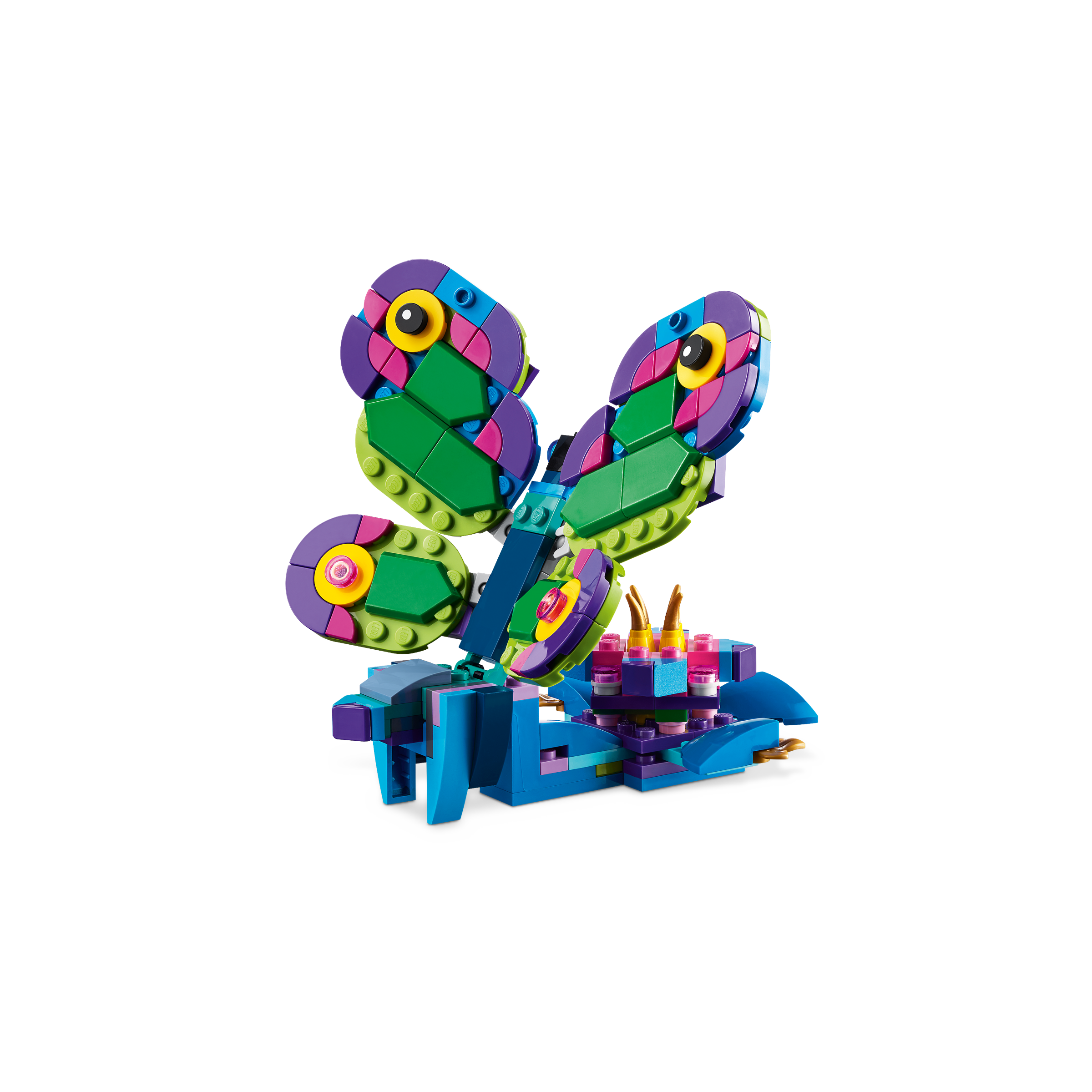 Exotic Peacock - Image 6