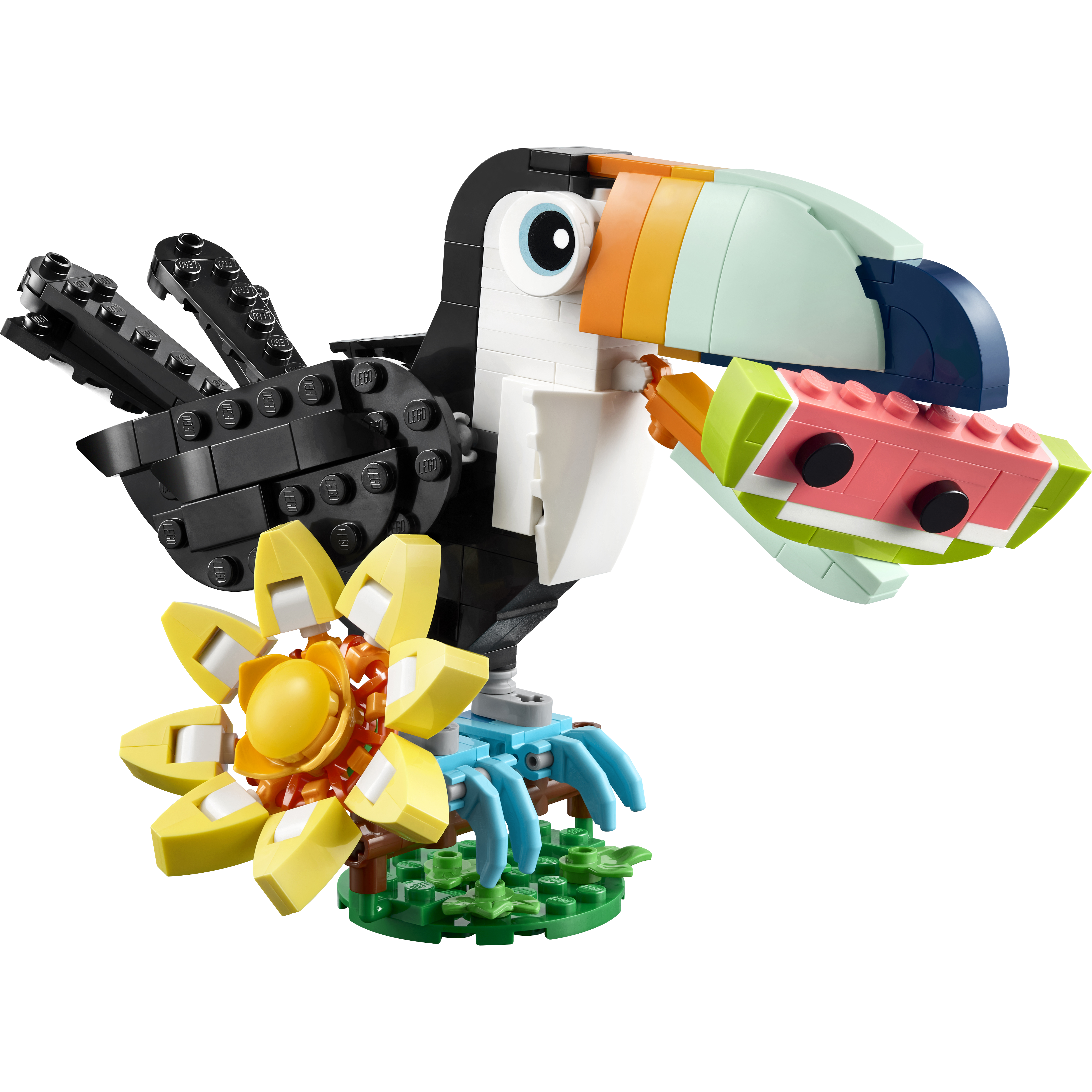 Wild Animals: Tropical Toucan