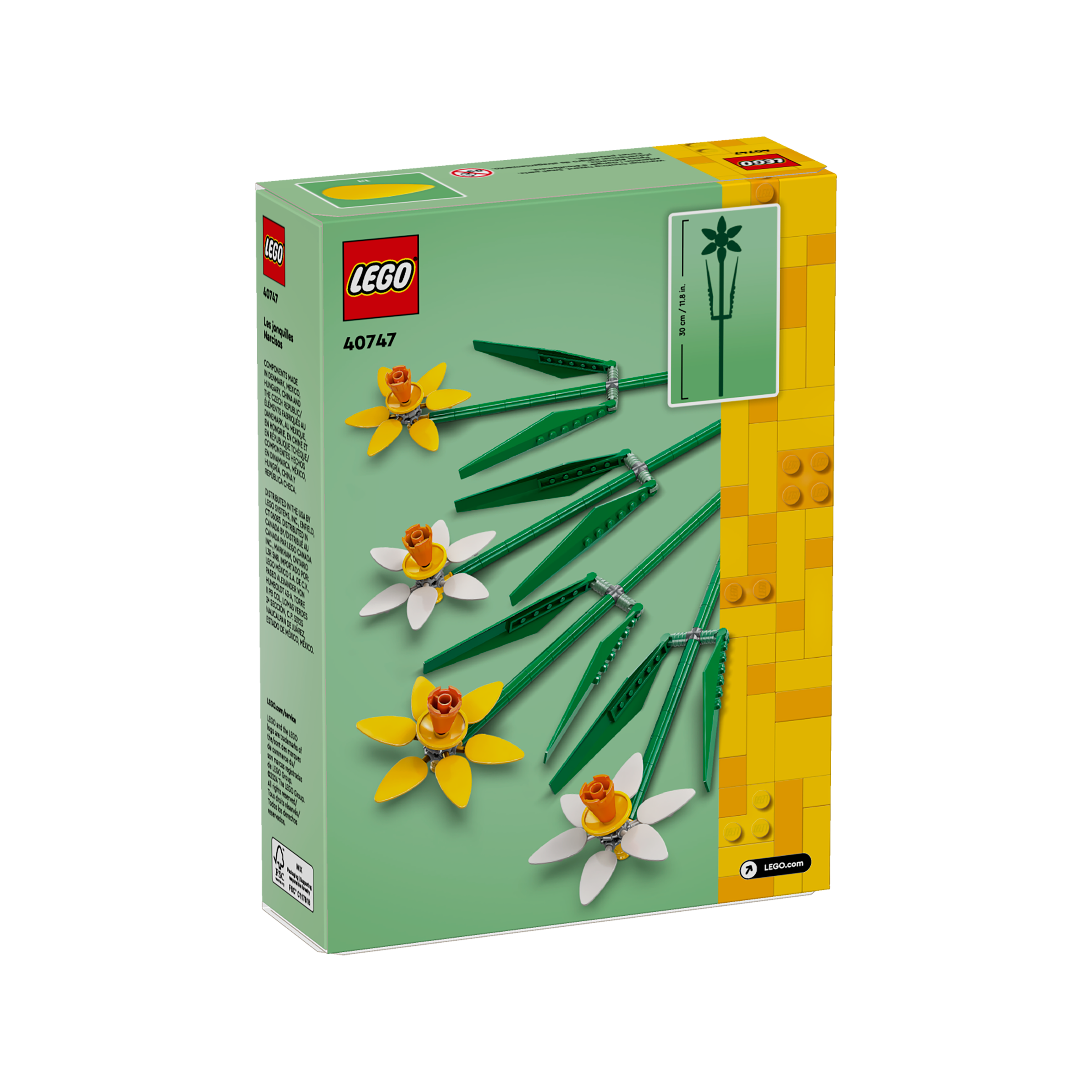 Daffodils - Image 5