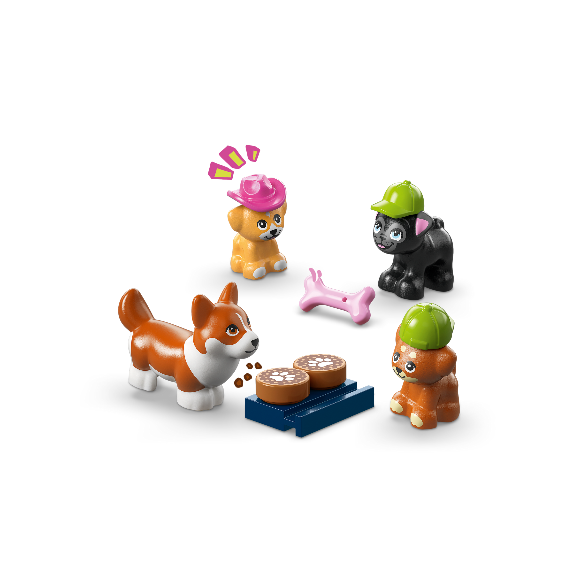 Dog Treats Bakery - Image 6