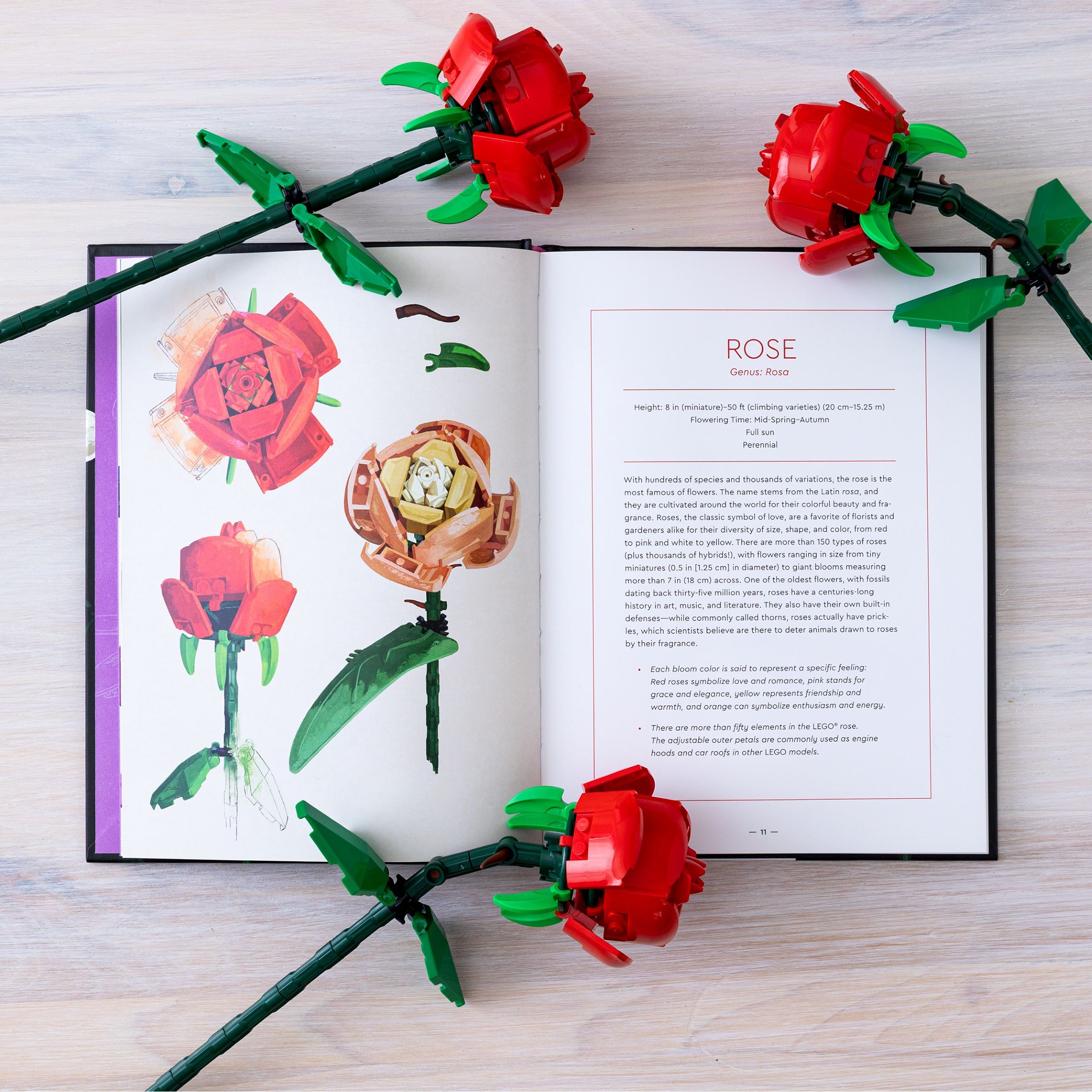 Botanical Almanac Book - Image 3