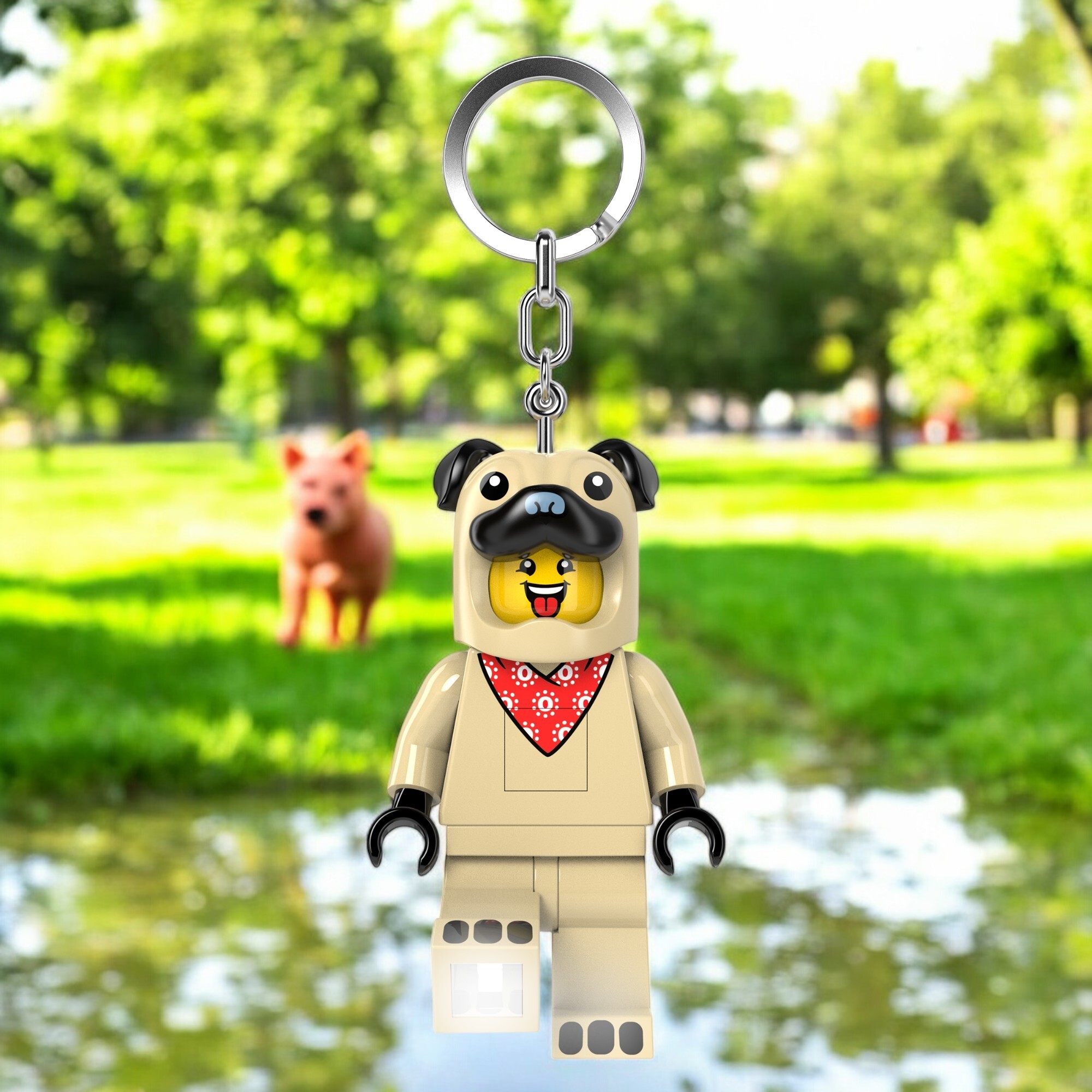 Pug Costume Guy Key Light - Image 8