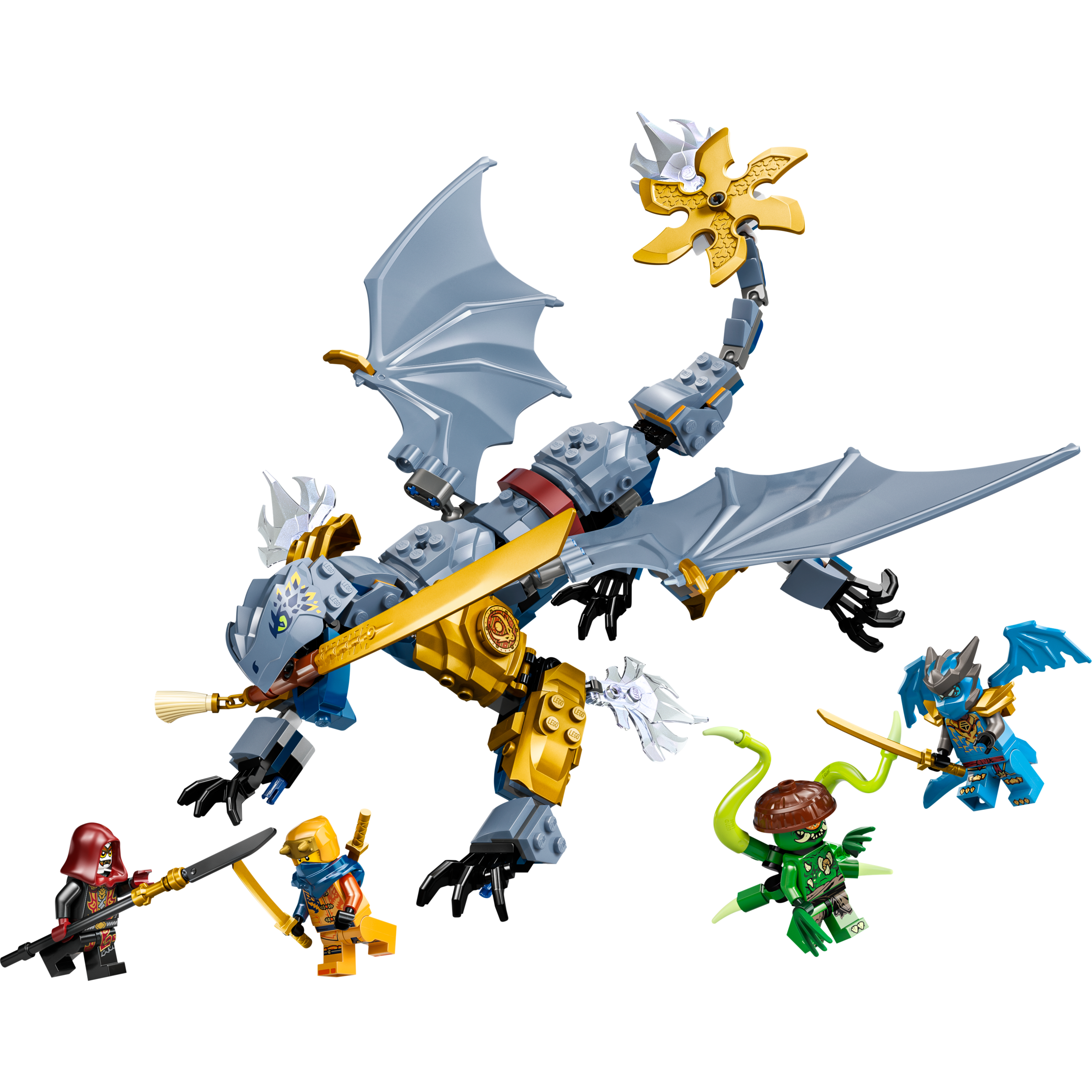 Ninja Dragon Riyu's Battle
