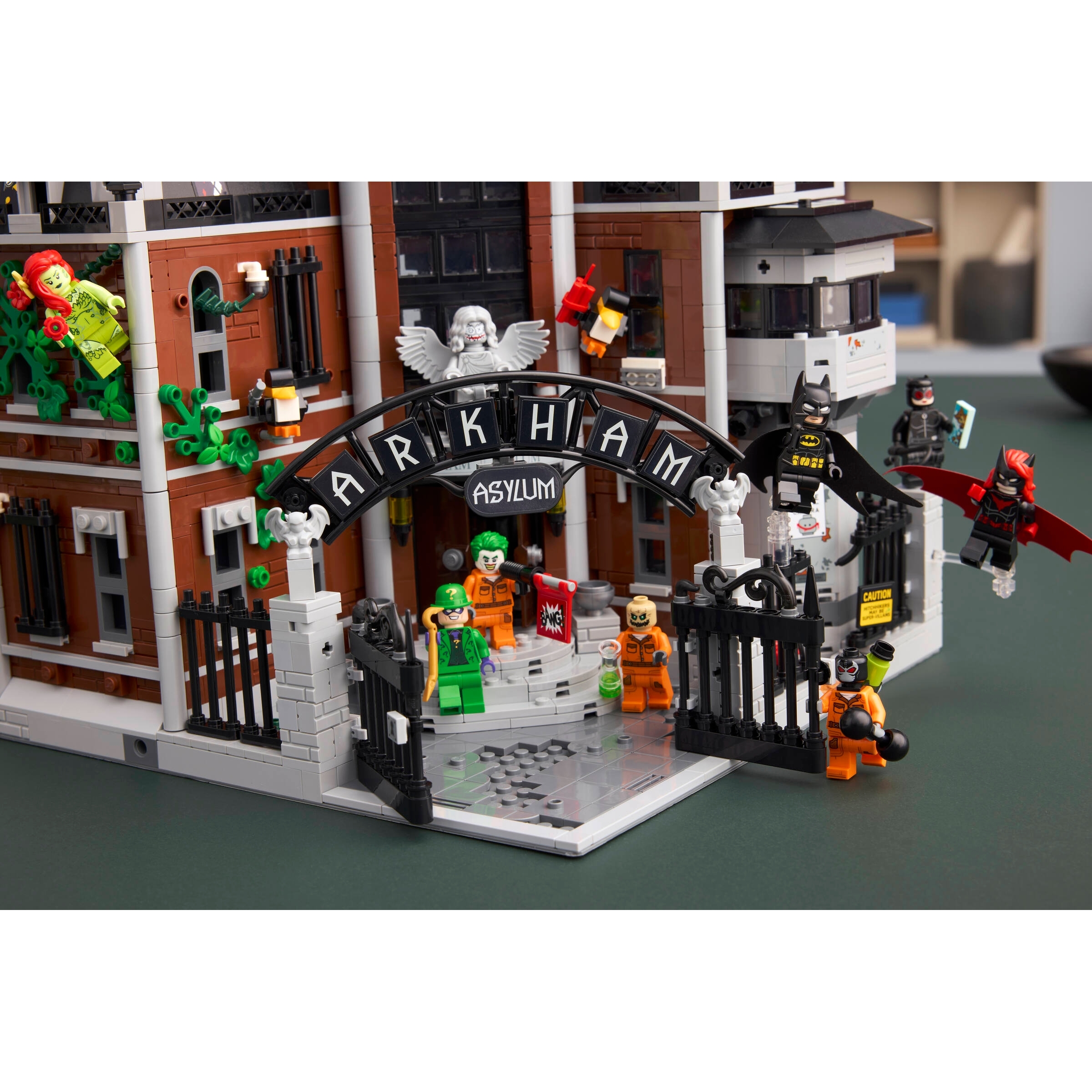 Arkham Asylum - Image 15