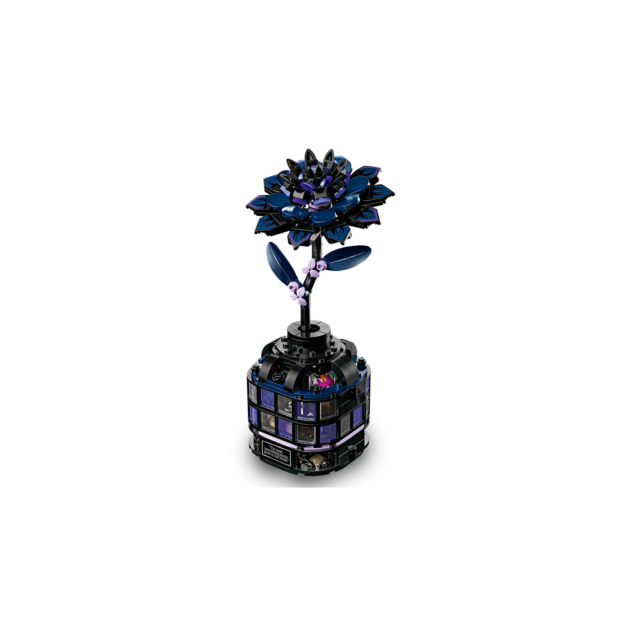 Black Dahlia Flower - Image 3
