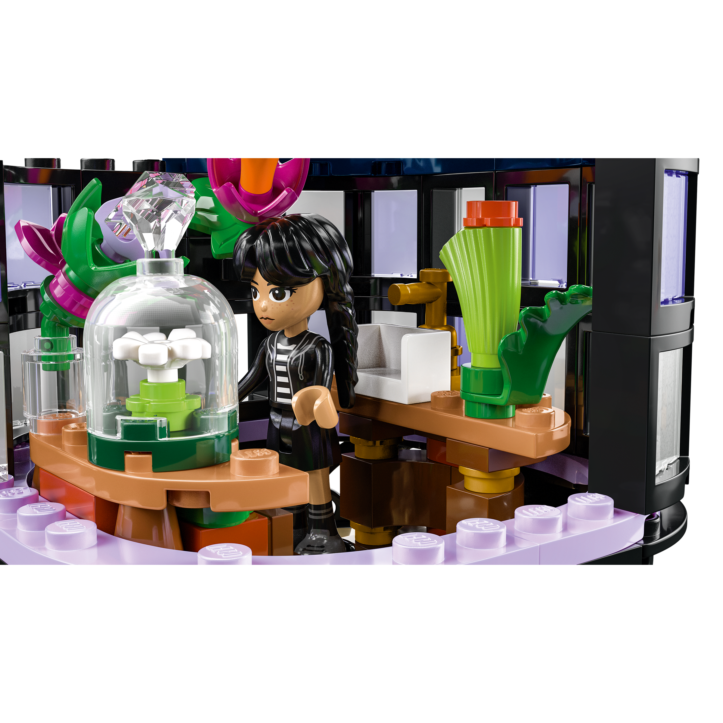 Black Dahlia Flower - Image 7