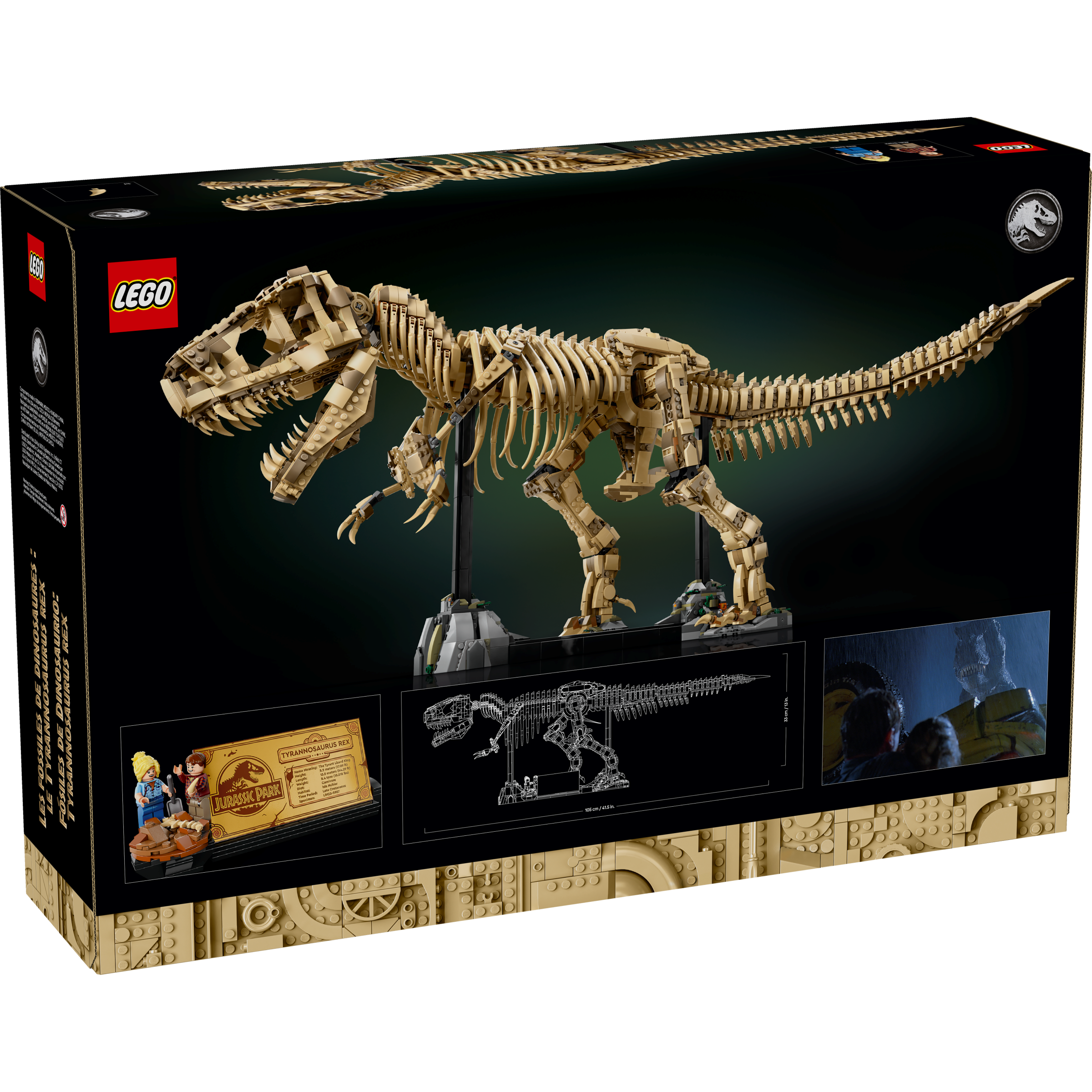 Dinosaur Fossils: Tyrannosaurus Rex - Image 13