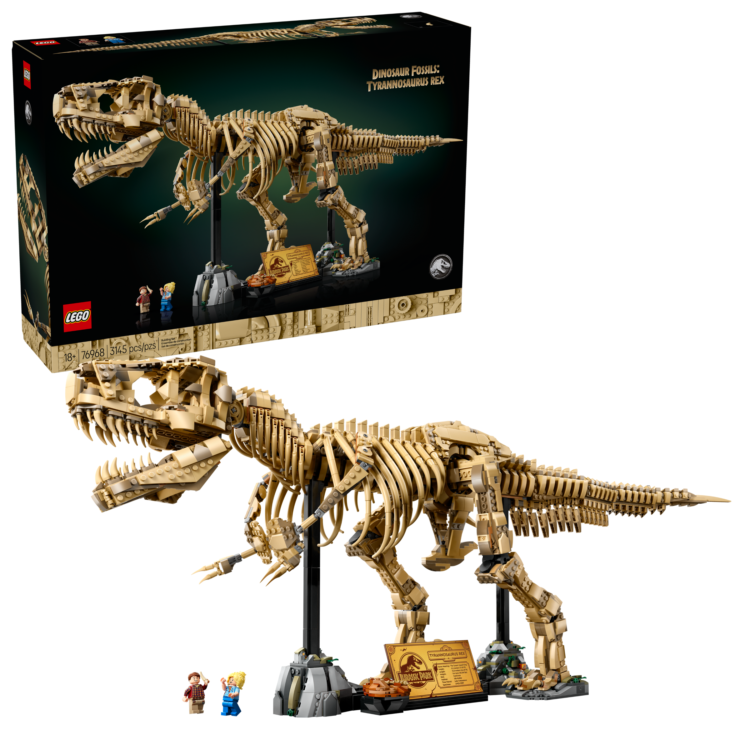 Dinosaur Fossils: Tyrannosaurus Rex - Image 2